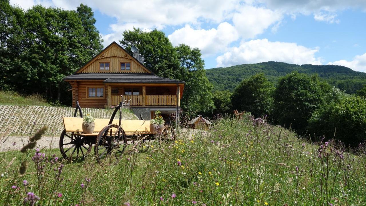 Bieszczadzkie Marzenie Wetlina Hotel Kültér fotó